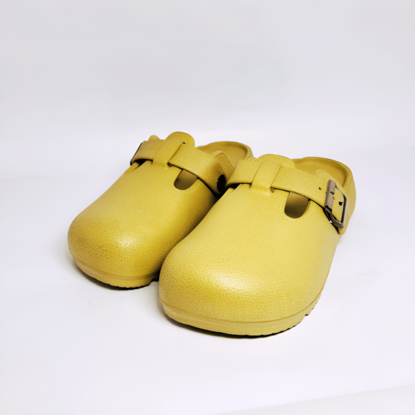 Fashion Crocks for Girls